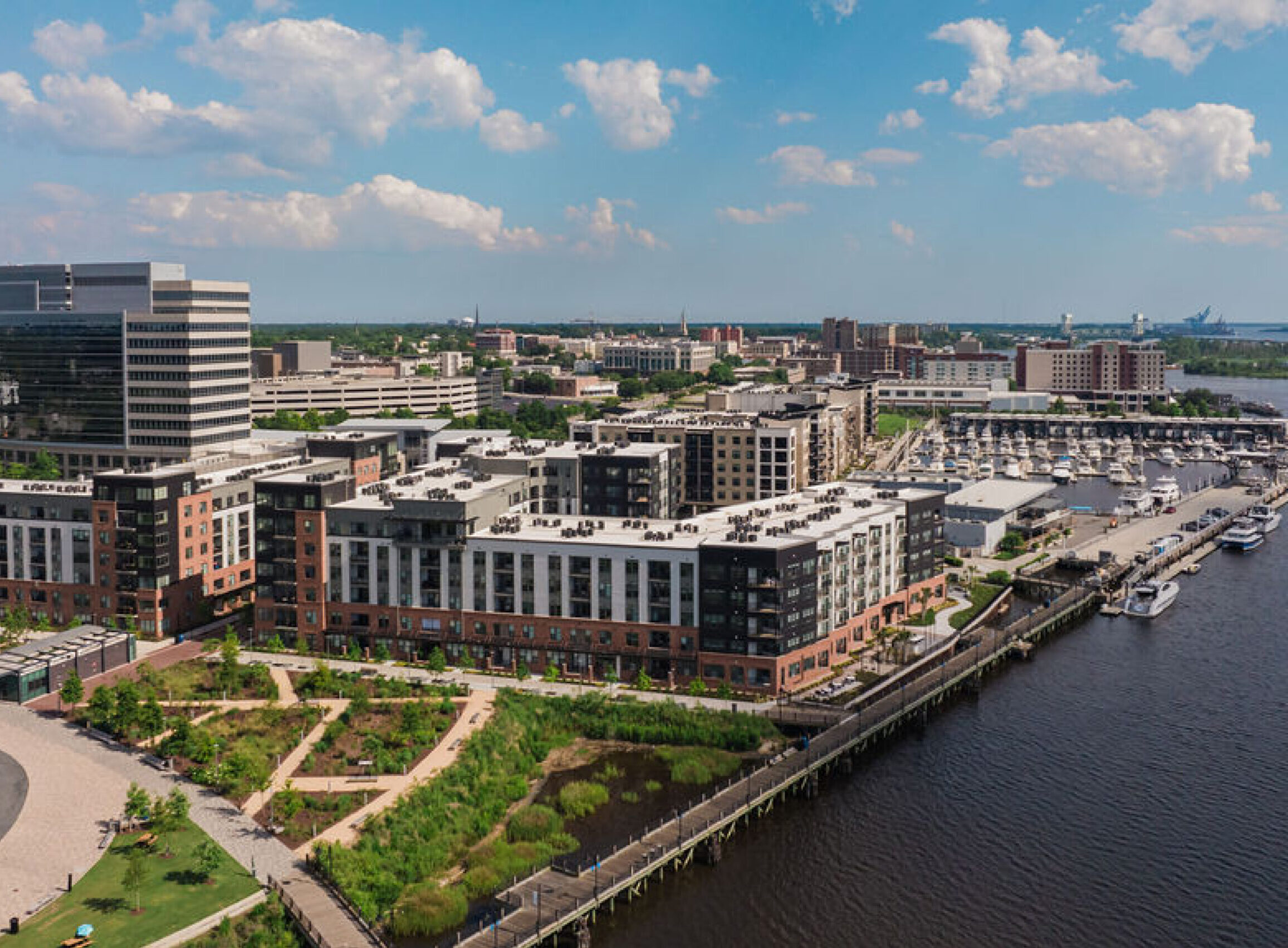 Wilmington Landscape